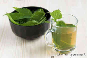 Quest’erbaccia che ricopre i tuoi vasi è inaspettatamente in grado di bruciare i grassi e accelerare il me ... - greenMe.it
