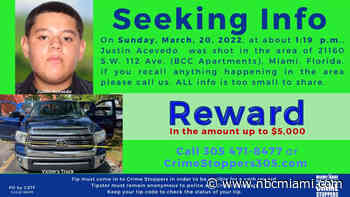 Miami-Dade Detectives Knock On Doors, Seek Answers In Teen's Shooting