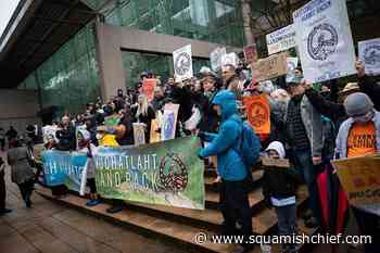 B.C. government disputes land claim by First Nation on Vancouver Island - Squamish Chief