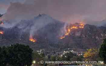 Hay un detenido por incendio provocado en Tepoztlán - El Sol de Cuernavaca