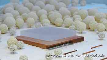 Sporthalle in Schömberg: Projekt soll rund 10,7 Millionen Euro kosten