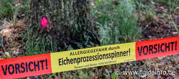 Bekämpfung des Eichenprozessionsspinners im Landkreis Fulda - Fuldainfo