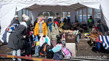 Ukraine-Krieg: Familie auf der Flucht kommt mit Hilfskonvoi nach Fulda - Fuldaer Zeitung