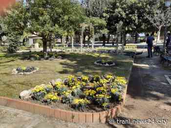 Carenza di aree verdi a Trani: cosa si sta facendo per porre rimedio? - Trani News24 City