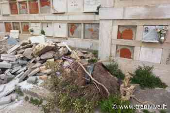 Materiale di scarto, transenne, erbacce: "benvenuti" al camposanto - TraniViva