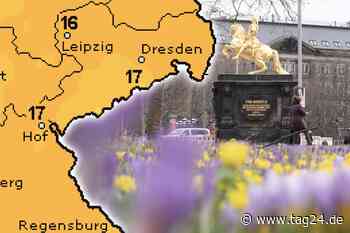 Keine Wolken und Sonne satt: So warm wird es heute in Dresden - TAG24