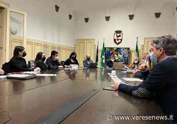Si insedia la commissione Welfare a Gallarate: prima sfida l'Ucraina - varesenews.it