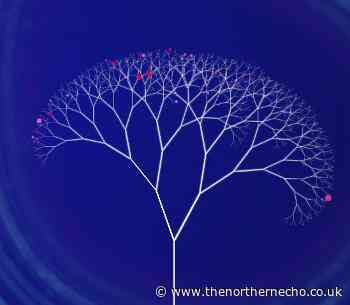 Why the Tree of Hope can blossom for Durham as a city of culture - The Northern Echo