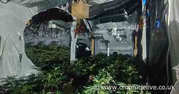 Horrific County Durham drug den where a baby was found as gangs allegedly exploit vulnerable youngsters - Chronicle Live