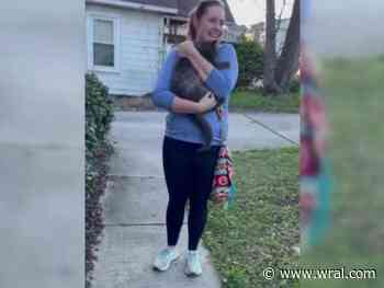 Microchip helps reunited Durham cat with owner after two years - WRAL News