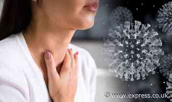 Coronavirus: How long it takes for symptoms to show after infection - Express