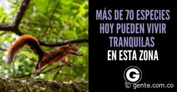 Las zonas de Envigado que están libres del tráfico animal - Gente