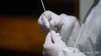 Corona verschärft Personalsorgen bei Dynamo Dresden - WELT