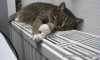 Verl gibt bis 2029 1,3 Milliarden Euro für Energie aus - Die Glocke