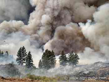Lawmakers look closer at US Forest Service wildfire mitigation efforts - Agri-Pulse