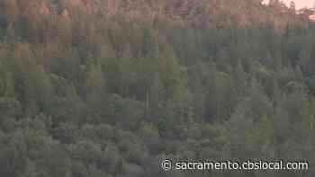 Placer County Creates New Position Aimed At Preserving Forests During Fire Season - CBS Sacramento