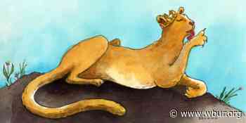 'Queen of the Forest' | Ep. 161 - WBUR