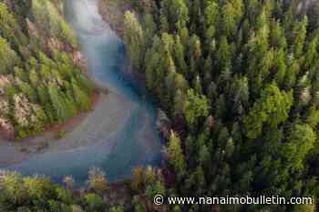 BC BUDGET: Province braces for shrinking forest industry, new lands ministry – Nanaimo News Bulletin - Nanaimo Bulletin