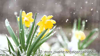 Schnee im April? Wetter-Experte rechnet mit „heftigem“ Temperatursturz