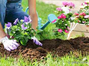 Armstrong Garden Center To Host Job Fair In San Juan Capistrano - Patch