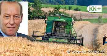 Rekorde bei Getreidepreisen: „Zehn Euro pro Brot – das kann passieren“