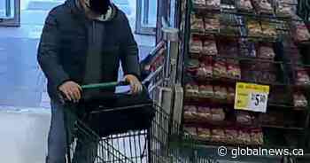 Niagara Regional Police looking for suspect in St. Catharines assault