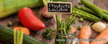 Inflation: plus d’un Québécois sur deux inquiet de ne pas pouvoir nourrir leur famille