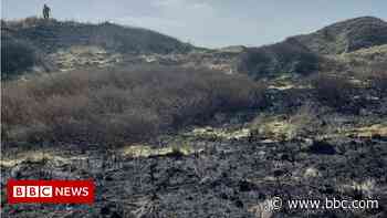 Cornwall gorse fire believed to be arson - BBC.com
