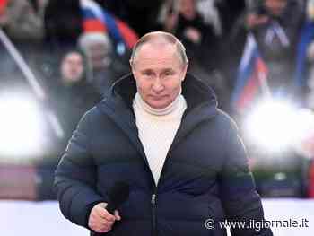 "Putin è come un pitbull", arriva il "pillolo" e Orsini: quindi, oggi...