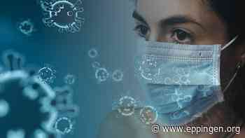 ▷ Entschädigung bei Quarantäne - Eppingen.org