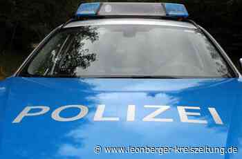 Parkkaverne in Leonberg - Backsteine auf Auto geworfen - Leonberger Kreiszeitung