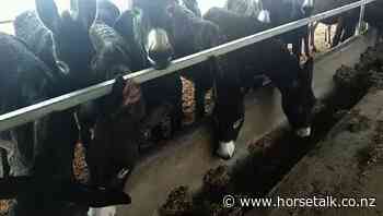 Equine coronavirus confirmed in China, with new variant identified - Horsetalk.co.nz - Horsetalk