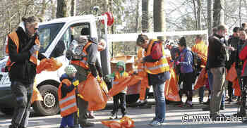 Heidelberg: Im Einsatz für einen sauberen Wald auf dem Königsstuhl - Rhein-Neckar Zeitung