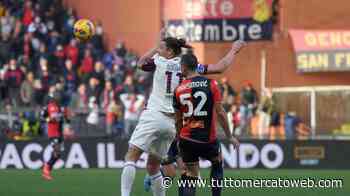 Genoa, dipendenti da Maksimovic. Il Secolo XIX: "Il pilastro fondamentale" - TUTTO mercato WEB