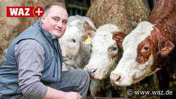 Landwirt aus Witten-Herbede trennt Kälber nicht von Müttern - WAZ News