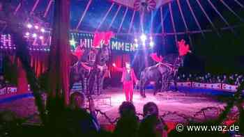 Witten: Circus Antoni gibt weiteres Heimspiel bei Ostermann - WAZ News