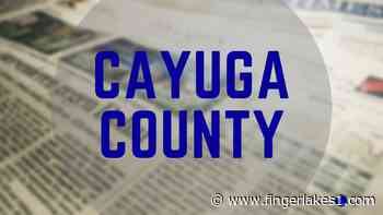Cayuga County Conservation District holds 51st Annual Spring Tree Seedling and Groundcover sale - FingerLakes1.com