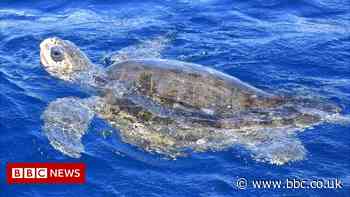 South Korea sued to stop deep-sea gas pipeline