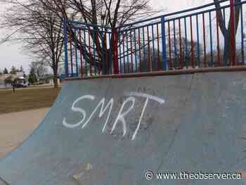 Sarnia's Tecumseh Park damaged in recent days by graffiti - Sarnia Observer