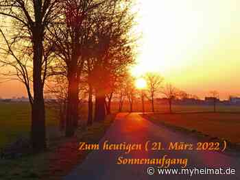 Der erste Montagmorgen im Frühling 2022 - Lutherstadt Wittenberg - myheimat.de - myheimat.de