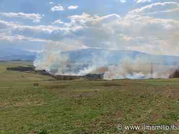 Incendio tra Colleferro e Artena a ridosso dell'autostrada A1 - ilmamilio.it - L'informazione dei Castelli romani
