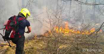 Bezirk Neunkirchen: 110 Feuerwehrleute kämpfen gegen Waldbrand - KURIER