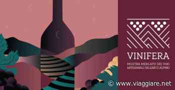 Vinifera 2022: i vini dell'arco alpino si abbinano ad arte, cultura e solidarietà - Viaggiare.net