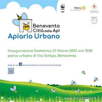 Benevento, la 'città delle Api' è una realtà - anteprima24.it