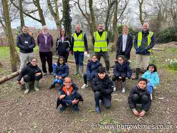 Hundreds of schoolchildren planting trees to raise awareness of biodiversity - Harrow Times