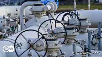 Ökonom: "Putin eskaliert den Wirtschaftskrieg" - DW (Deutsch)