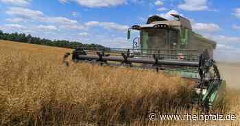 Kriegsfolgen abfedern: EU-Bauern sollen Produktion steigern - Wirtschaft - Rheinpfalz.de