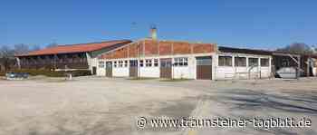 Rinderzuchtverband bleibt in Traunstein - Traunsteiner Tagblatt