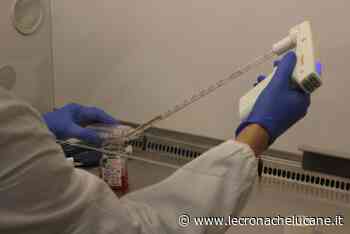 UNIVERSITA' BARI-CNR RICEVONO IL COZZARELLI - Cronache TV