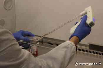 Premi: studio Università Bari-Cnr riceve il Cozzarelli 2021 - Agenzia ANSA